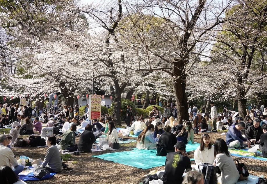 春なのに気が重いアルハラ被害者たち　いまだに「酒が飲めなきゃ人権がない」と感じる人も