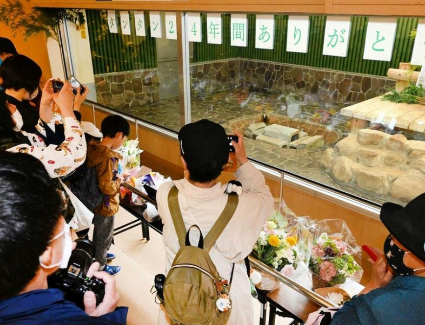 【神戸】「天国でゆっくりしてね」「最後に会いに来たよ」　王子動物園にタンタン献花台設置、ファンが列