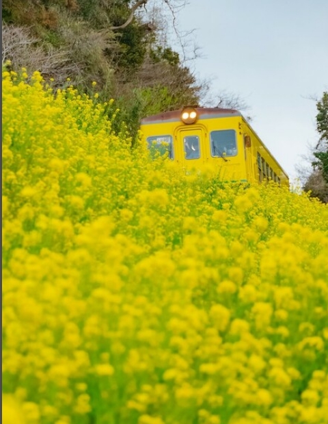 非撮り鉄による鉄道写真に物議…撮り鉄から「構図がなってない」と批判、写真家「いやそうじゃなくて…」