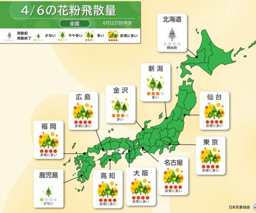 【花粉】今週末　広範囲でヒノキ花粉が大量飛散　お花見には万全の対策を　ピークいつまで