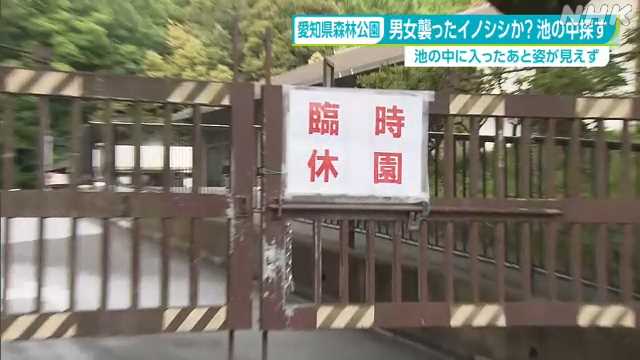 愛知県林森林公園 男女襲ったイノシシ 池で溺れ…