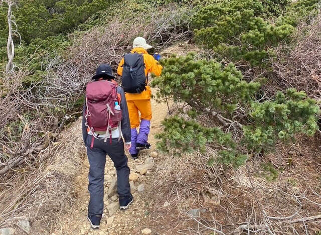 「ゆっくり魔理沙だぜ！今日も間抜けな遭難事故を紹介するぜ！」→シュババババ