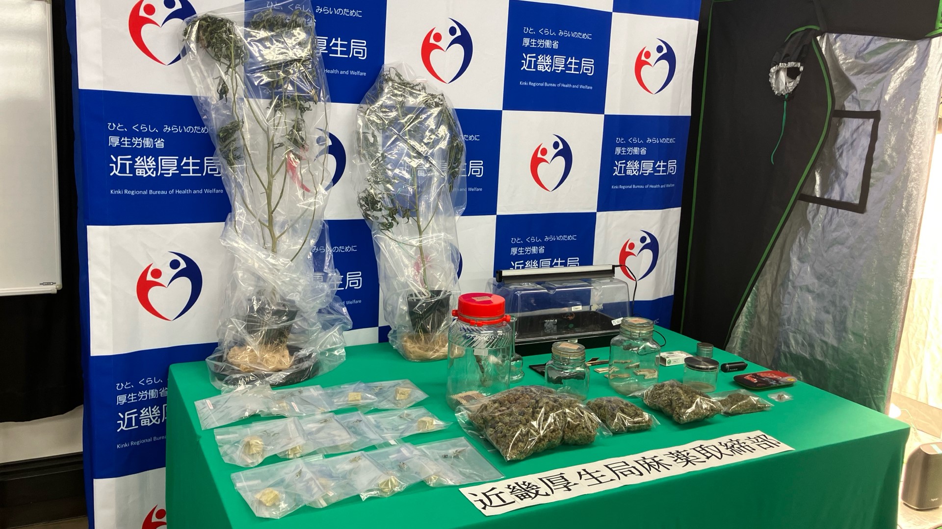 大麻栽培・所持の疑いでレゲエ歌手「MARSHALL」を逮捕　近畿厚生局麻薬取締部