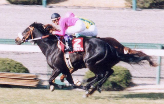 ナリタブライアン「高松宮杯」出走は、なぜ武豊が騎乗した？　三冠馬達成30年目の真実…降ろされた主戦騎手は「僕が負けたのが原因です」