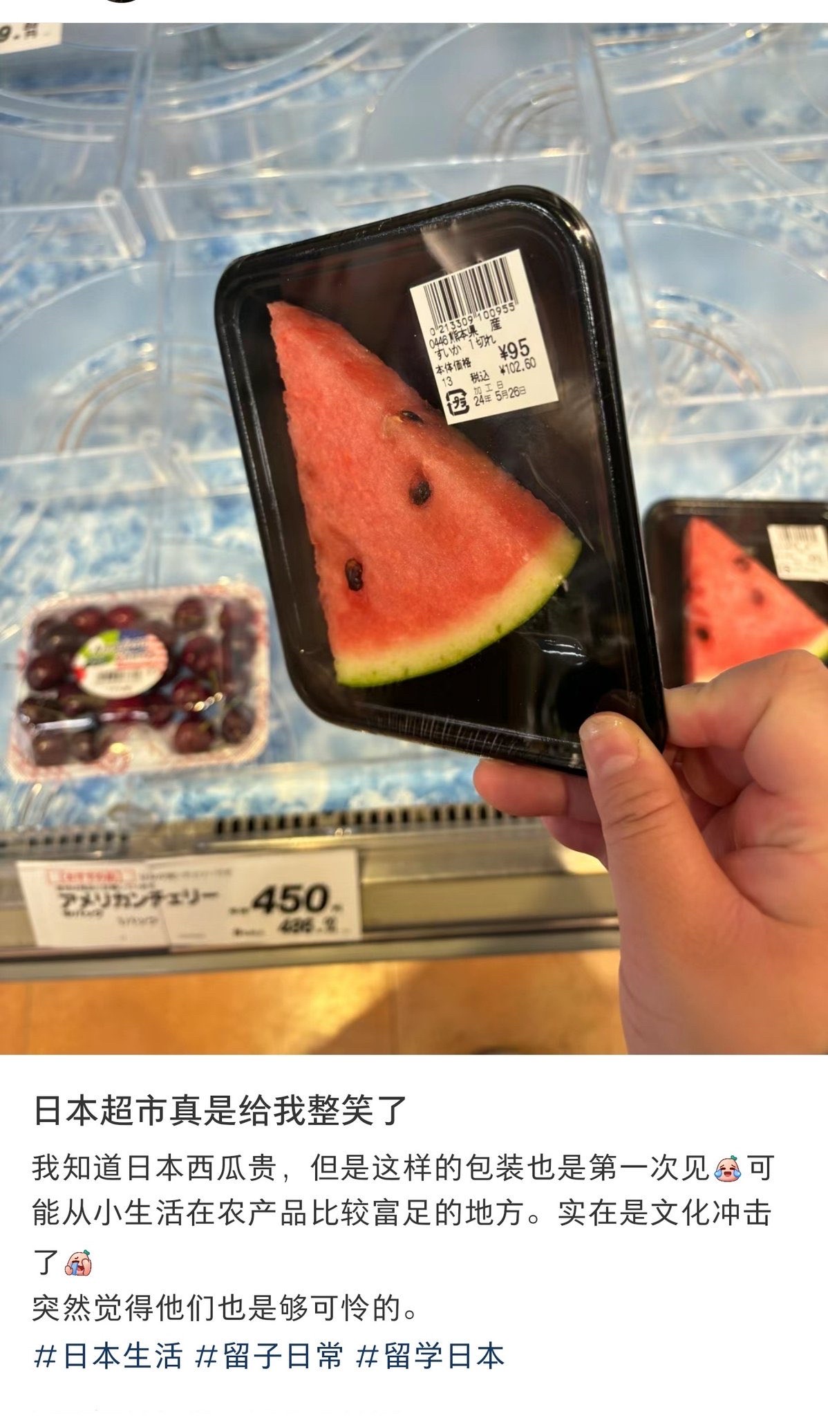 【画像】中国人さん、日本のスーパーで売ってるスイカを見て大爆笑www