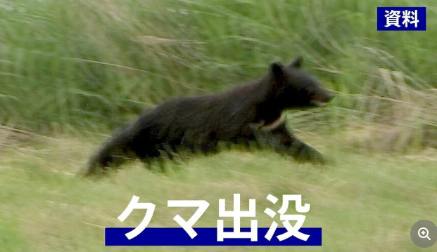 【クマ】山形県でクマに襲われた男性　かみついてきたクマを殴って応戦　斜面の上から蹴飛ばす