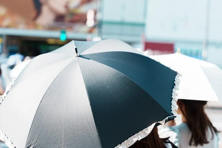 【☂】「日傘が凶器に…」使用者の増加によって生まれる問題　気を付けたい雨傘とは違うマナー「人混みで目に刺さりそう」