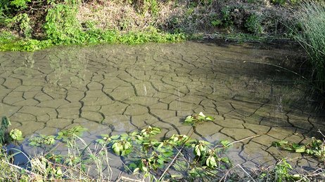 【岐阜県】リニア工事で井戸枯渇、ため池にひび…住民「元に戻して」井戸水の家庭もある集落