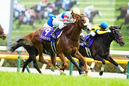 【競馬】ヴィクトリアマイル(東京・G1) 15番人気の超伏兵テンハッピーローズが春のマイル女王に！津村騎手G1初制覇