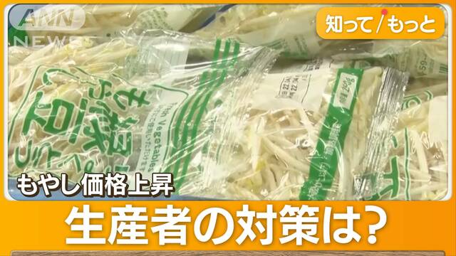 もやし、3円値上げで消費減　生産者「苦しい」