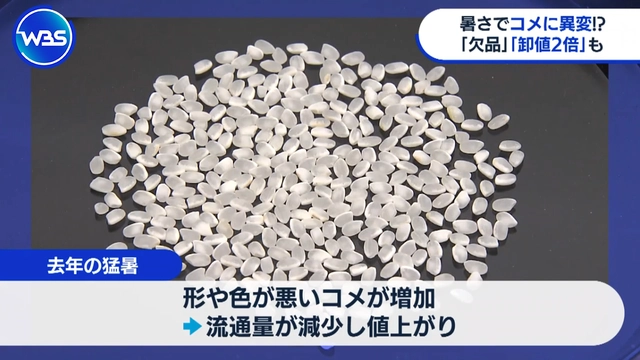 再【気候変動】コメが去年の猛暑で高騰 去年より2倍近くに 今年新潟の積雪6割減で心配／小麦粉高騰で米粉が相場感で6～7割安く救世主