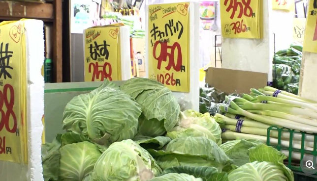 再）【食品】キャベツ1玉１０００円に　価格高騰で飲食店は対応に追われる