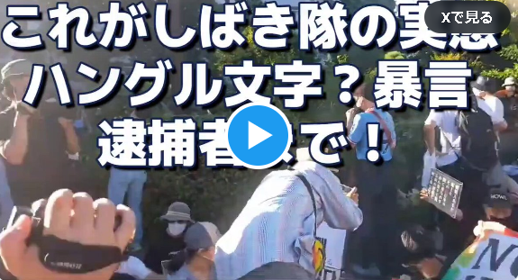 【しばき隊参上】メディアにかかると、しばき隊も「市民団体」となります