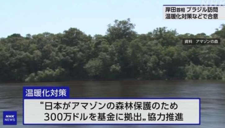 【はぁーーー！！】日本政府 アマゾンの森林保護のために 300万ドル、約4.5億円支出 →はっ？ 国内では森林壊してメガソーラー作っといて、国民一人当たり【1000円】の森林税徴収してるのに