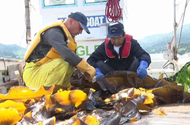 【異変】海水温上昇で養殖が危機的状況　ホヤ・コンブ・ホタテ漁師が悲鳴「全滅って言っていいくらいの被害」