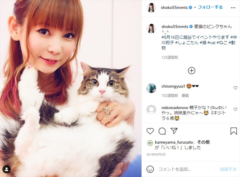 中川翔子、猫虐待動画が“おすすめ”に「不快で悲しすぎる」