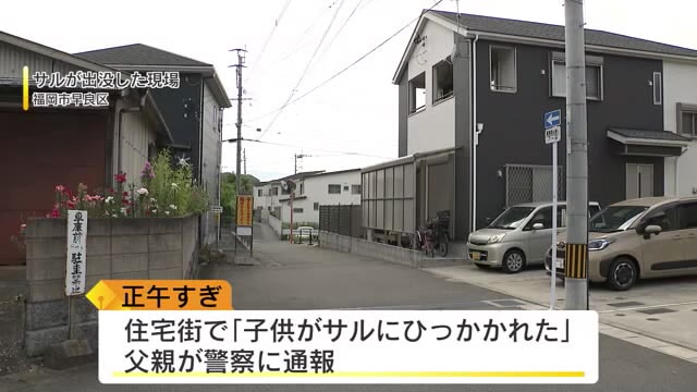 住宅街でサルが車内に侵入 小学4年の男児ひっかかれ頭に軽傷【福岡市早良区梅林】