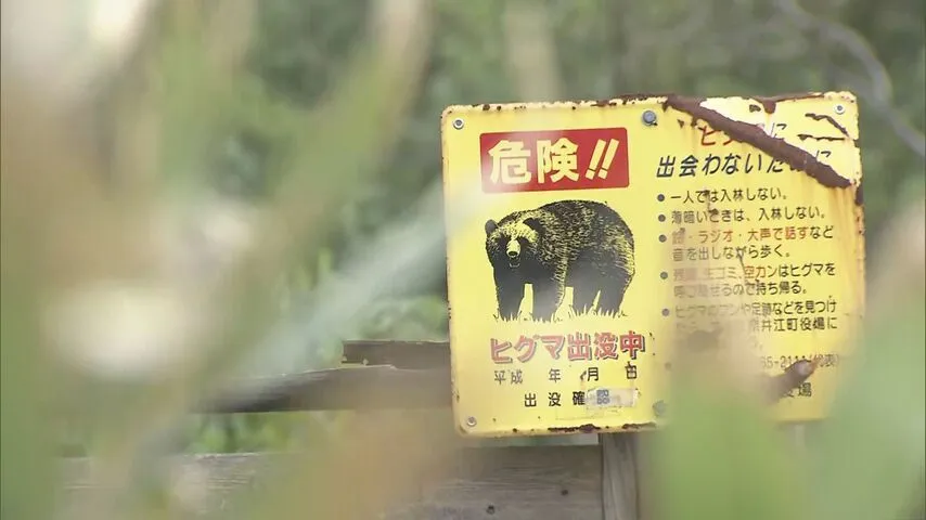 猟友会「クマサンの駆除安すぎんよ」