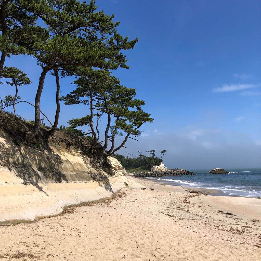 【事件】茨城・日立の砂浜に白骨遺体…上半身が埋まった状態、付近の住人発見