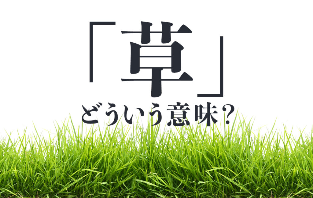 47歳男性「『草』が意味分からなかった。なぜ『草』が笑いの意味になるのか？」