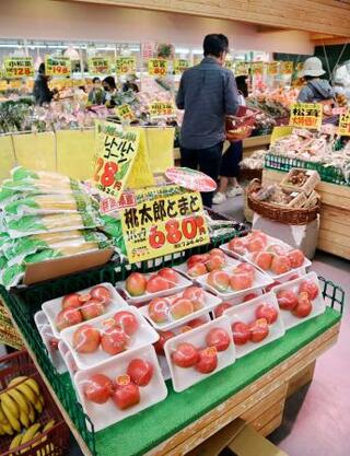 【お得】5月ジャガイモが安い 他はだいたい平年並みか少し高い 農水省が東京卸売り野菜予想