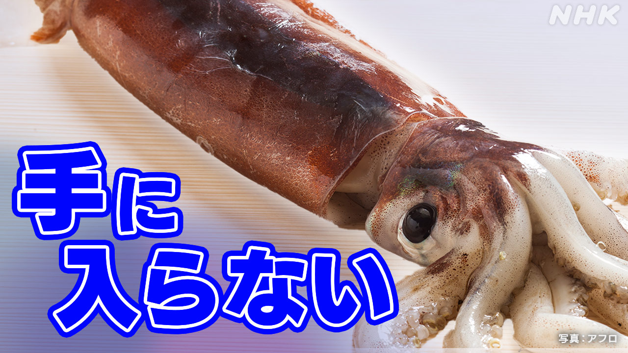 【気候変動】サンマだけではない不漁  サバやカツオも　　漁獲量、2年連続で400万トンを下回り、過去最低を更新・・・水産庁 「温暖化の影響などで海洋環境が変化」