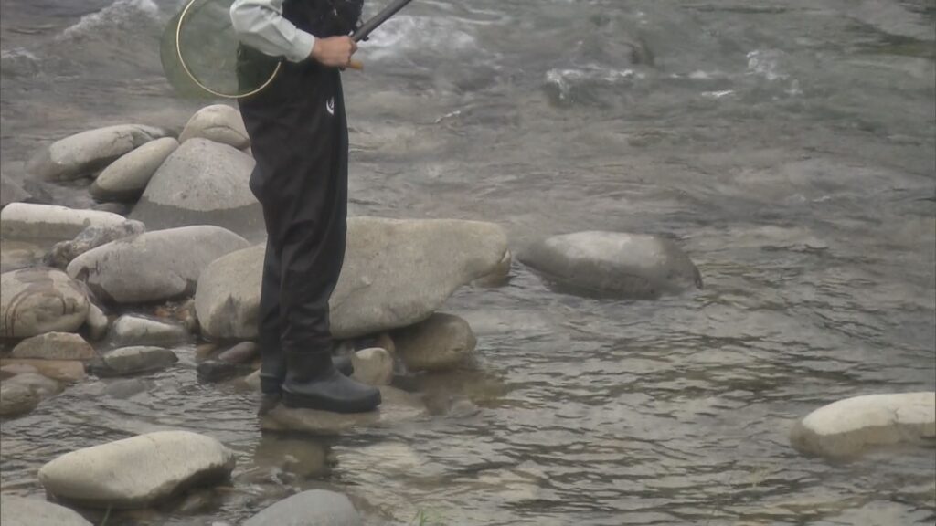 アユ釣りの８０歳男性が溺死、岐阜県高山市の飛騨川で…友釣り中に流されたか