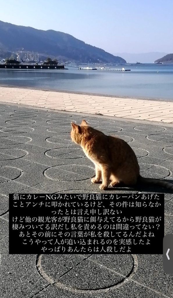 【悲報】syamuさん、猫にカレーパンを食わせた件でAIにボロクソに叩かれてしまう…😰