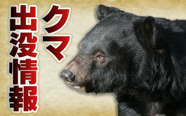 【富山】クマに顔ひっかかれた80代男性、血だらけで助けを求める！近くの女性が通報