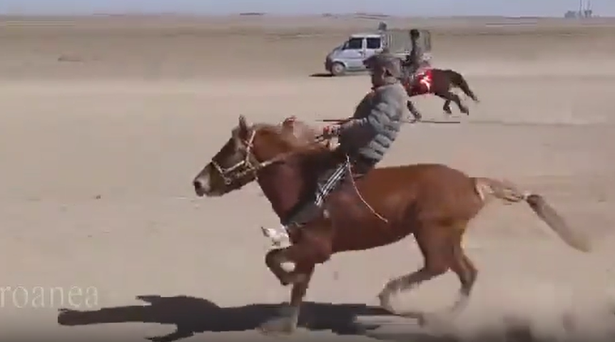 【動画】中国の競馬界で独自の走り方を習得した馬がぶっちぎりで大爆走