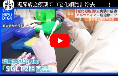 食欲を失わせる肥満治療薬、なぜかアルツハイマー認知症に絶大な効果