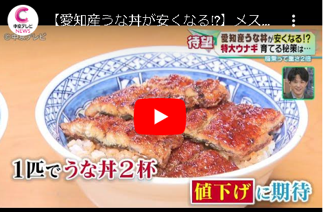 【お得養殖技術】うな丼が安くなる「エサに大豆イソフラボン投与で稚魚がメスに性決定」メスは病気に強く大きさ２倍 旧来養殖はオス化