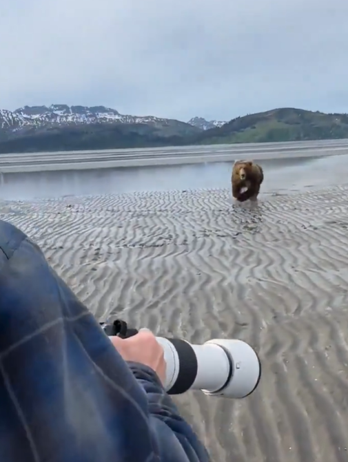 【動画】陽キャさん、ノーダメで暴れクマを完全撃退wwww