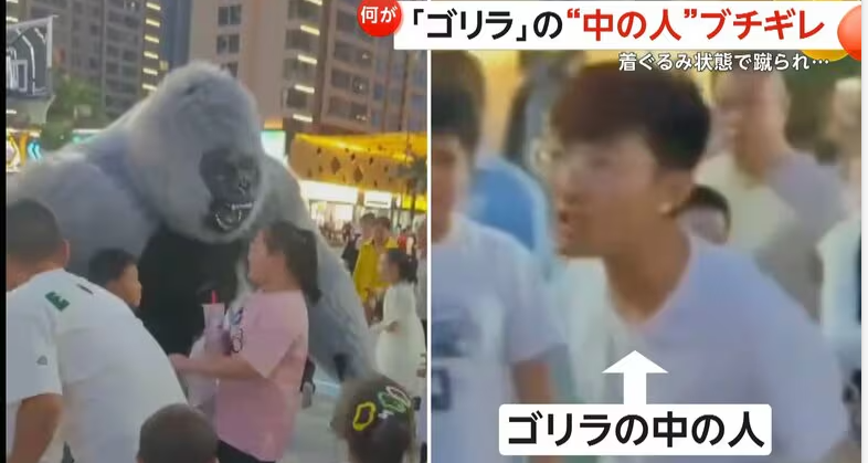 【動画あり】「これ着てみろよ！」…ゴリラの中の人”ブチギレ”　保護者に蹴られ3メートル吹っ飛ぶ　一触即発の事態に　中国・陝西省