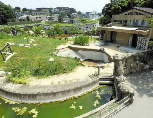 【福岡】動物園にアジアゾウ、「国軍に政治利用される」…国内在住ミャンマー人ら受け入れ延期を要請