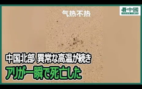 【気候変動】中国北部で高温と干ばつが続き、河南省、山東省、安徽省などでは農作物が極度の水不足に陥り、酷暑で亡くなる人も出ている・・・多くの地域で35℃から39℃の高温、一部地域では40℃超