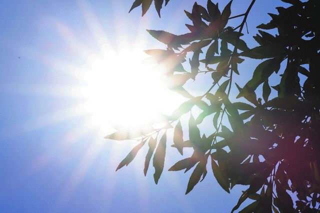 【気候変動】三重大学・立花義裕教授が緊急警告 「本当の “灼熱地獄” はここからです、私は、首都を北海道に移転したほうがいいとまで考えています」