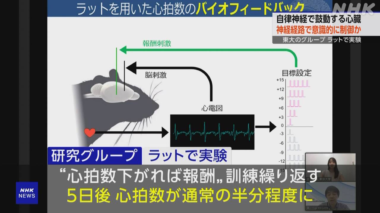 【科学】“脳には心臓の動き意識的に制御できる神経経路” 仕組み解明