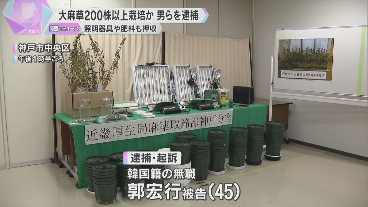 自宅で大麻草206株を栽培か　韓国籍の男2人を逮捕・起訴　栽培用の器具や肥料も押収　麻薬取締部