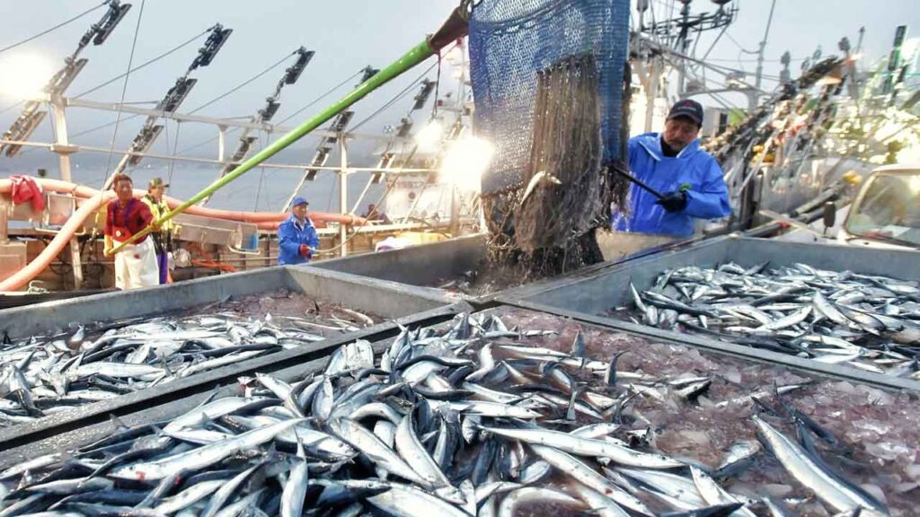 【どうして日本だけ…】魚の漁獲量、世界全体で2倍の増加。日本は3分の1と激減