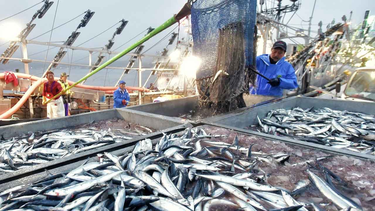 【どうして日本だけ…】魚の漁獲量、世界全体で2倍の増加。日本は3分の1と激減