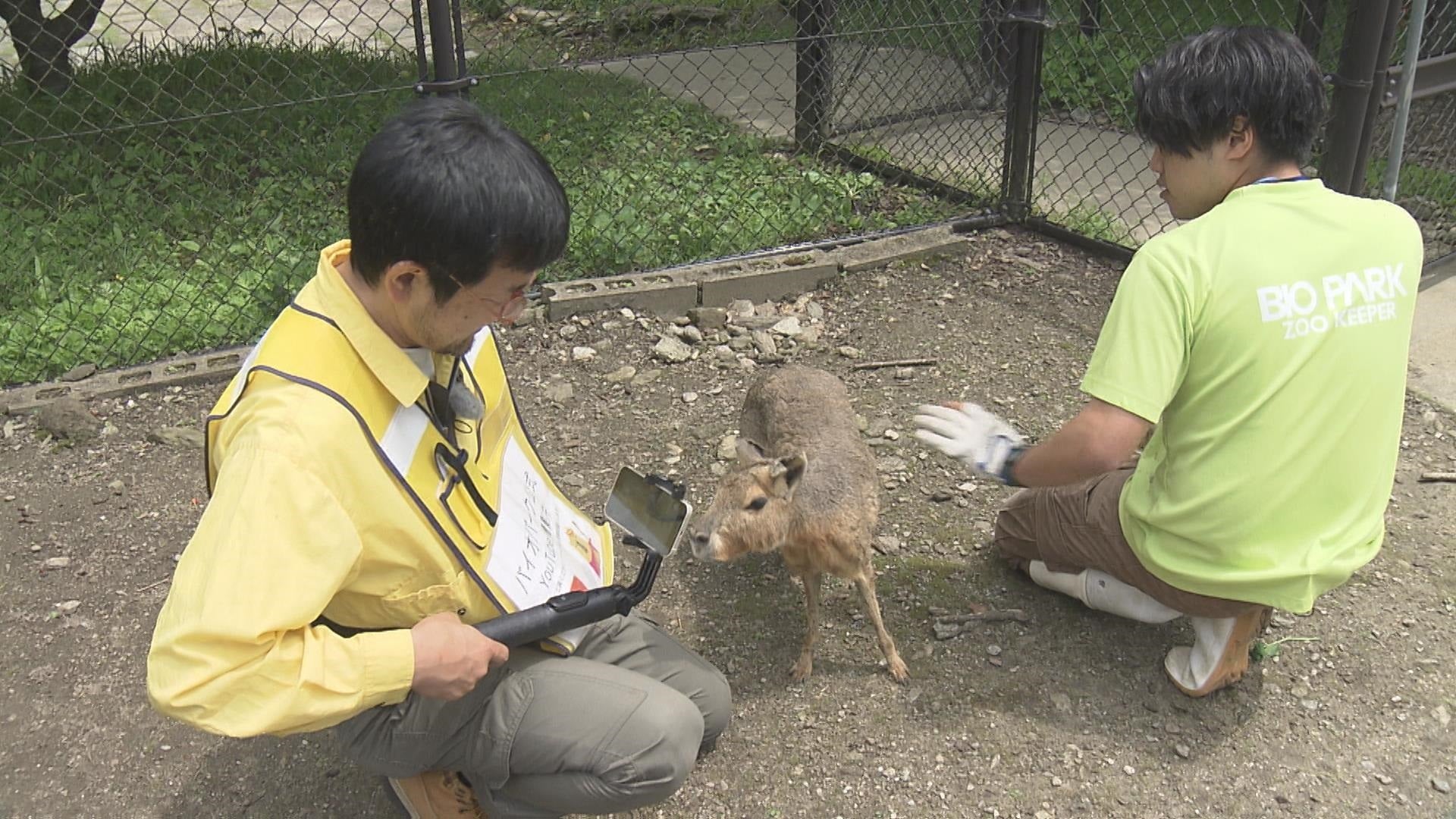 【YouTube】人気再生！バズる動物園　自然に近い状態で動物たちがのびのびと暮らす展示「長崎バイオパーク」