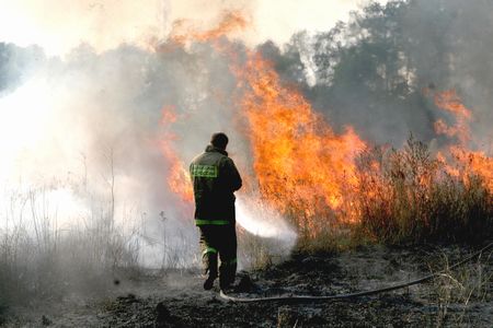 【気候変動】ロシアで森林火災多発、極東に非常事態発令　近年猛暑続く