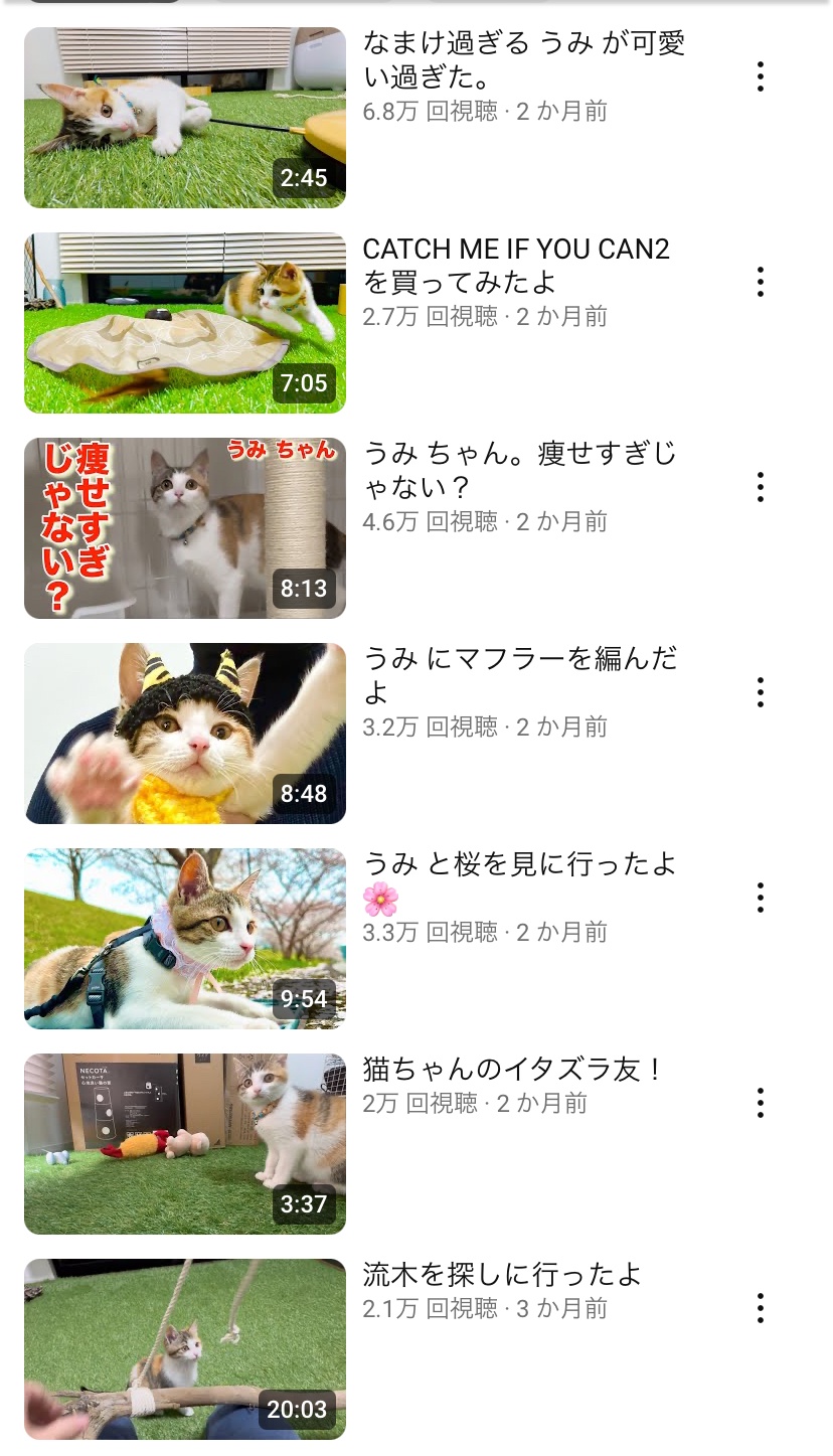 海で猫を拾った系YouTuber、4月21日を最後に更新が止まる