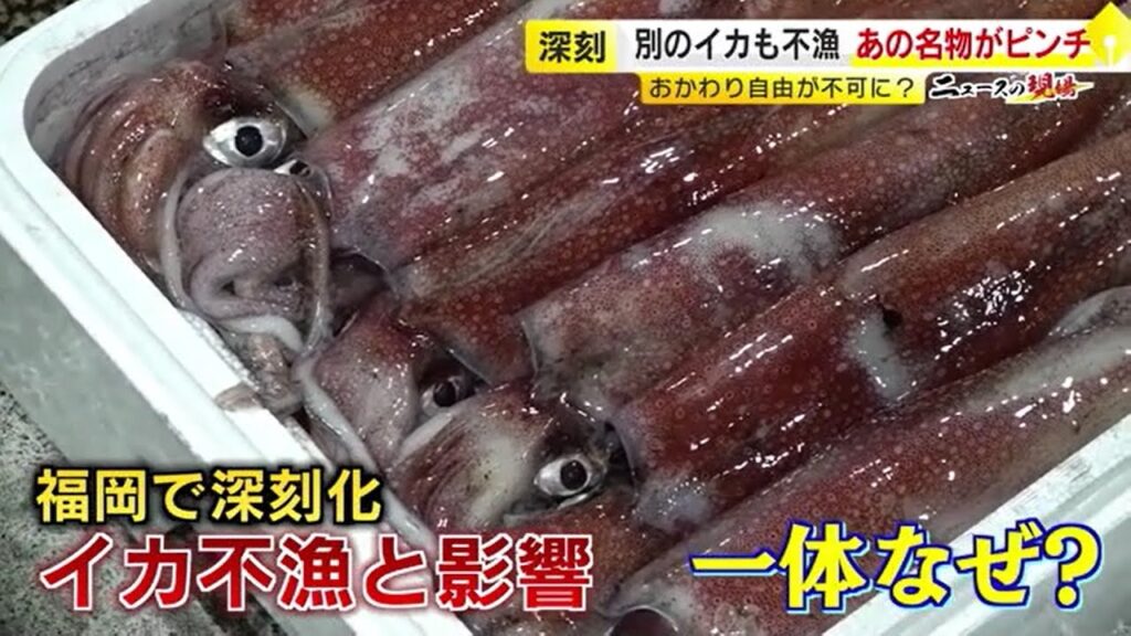 【くコ:彡】イカ不漁深刻、マグロ赤身より高値に　塩辛ピンチ