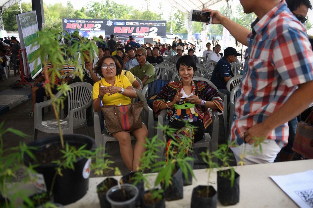 タイ合法大麻市場の未来展望：2023年から2032年にかけて収益が10.2億米ドルから128億米ドルへと拡大、年平均成長率32.5％期待