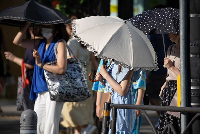 【気候変動】「気温50度」のシナリオも、熱波に備えた都市設計の必要性を専門家が警告