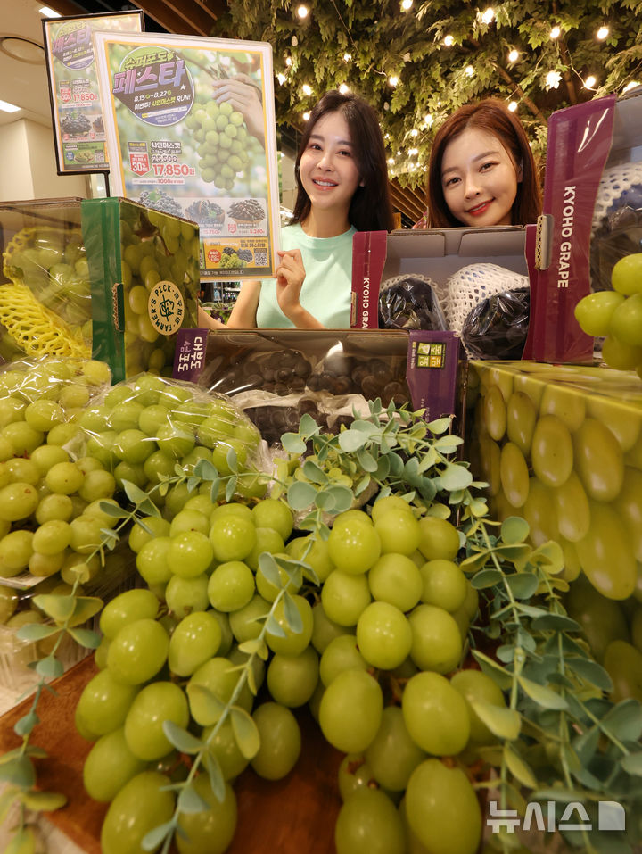 【韓国】「旬のブドウを召し上がれ」シャインマスカット、巨峰などお手頃価格で販売