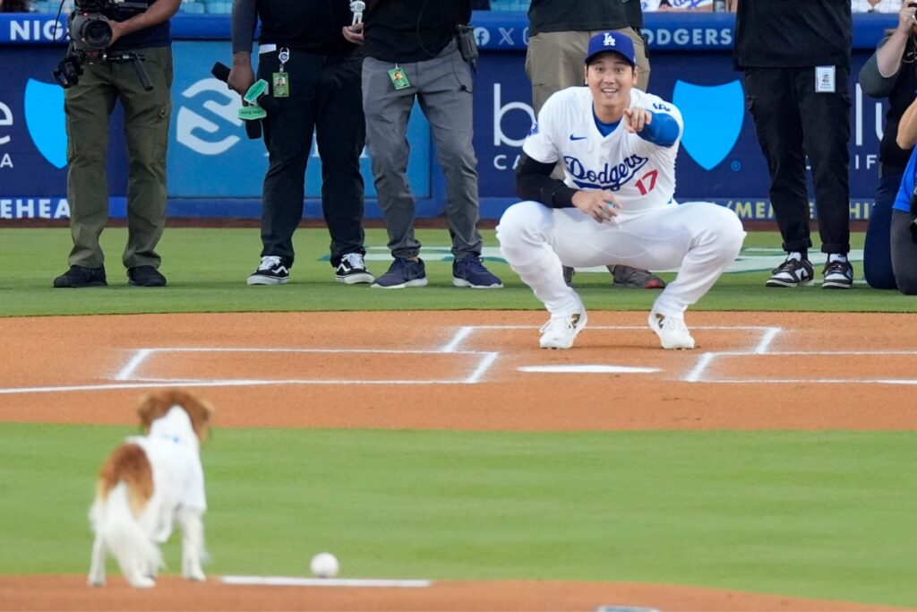 【大谷翔平の愛犬・デコピンが始球式に登場】ネットは大興奮 「デコピンの始球式、超可愛いし超おりこうさん！」 「デコピンの始球式大成功じゃん」