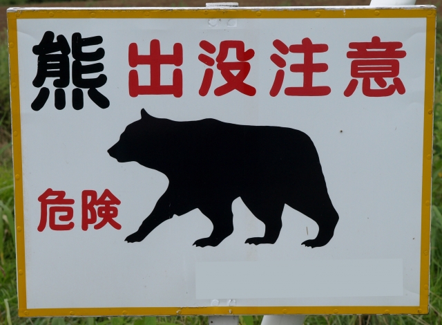 【北海道】牧草地で女性が2頭のヒグマに遭遇…うなり声をあげ近づくクマ…絶体絶命のなか女性は約150m後ずさりして自宅まで無事避難